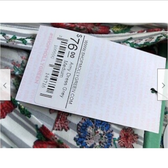 NWT Molly Green brand Summer Maxi "Amy" Dress, grey stripe, button up, lining, M - Picture 5 of 7